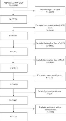 Association between neutrophil-to-lymphocyte ratio and diabetic kidney disease in type 2 diabetes mellitus patients: a cross-sectional study